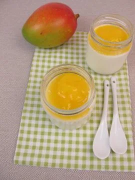 Yogurt from yogurt maker with mango Stock Photos