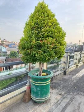 Yogyakarta Stock Photos
