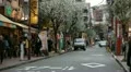 Yokohama Shopping Street Spring Blooming Cherry Trees Asian People Shoppers Walk HD Footage