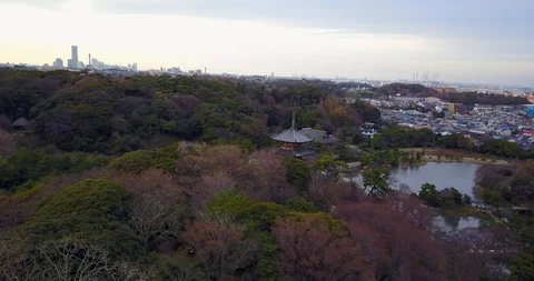 Yokohama Temple Drone B Stock-Footage 88462423