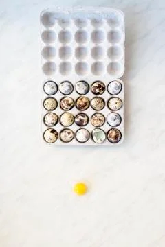 Yolk and shell quail eggs on the marble surface and cardboard box eggs Stock Photos