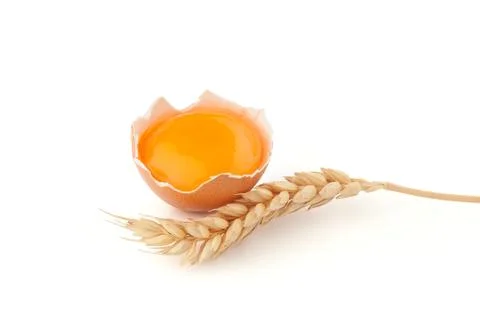 Yolk of egg in broken eggshell and wheat Stock Photos
