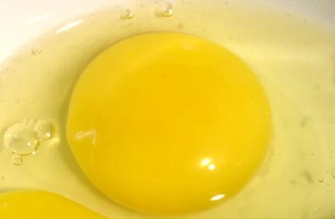 Yolk Stock Photos