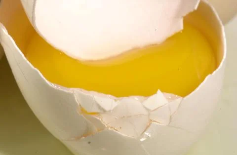 Yolk 스톡 사진