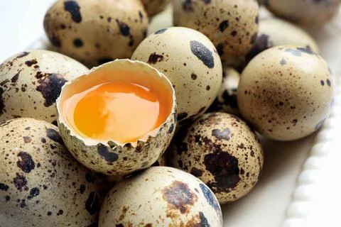 Yolk quail egg without shell and raw organic quail eggs in bowl  Stock Photos