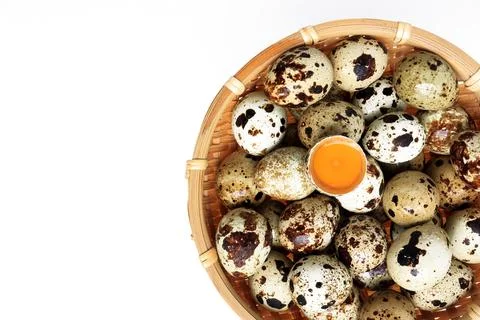 Yolk quail egg without shell and raw quail eggs in basket on white background. Stock Photos