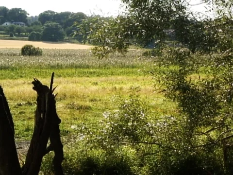 Yonder House Video stock 490042