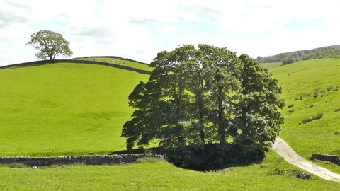 Yorkshire Dales Panoramic Landscape Stock Footage 89923853