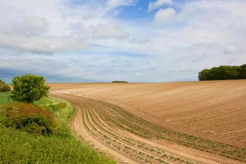 Yorkshire potato fields Stock Photos