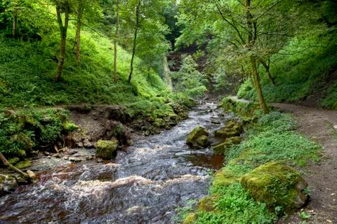 Yorkshire river Stock Photos