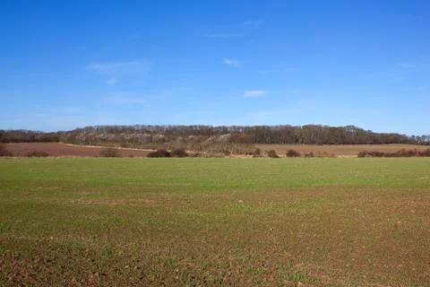 Yorkshire scenery Stock Photos