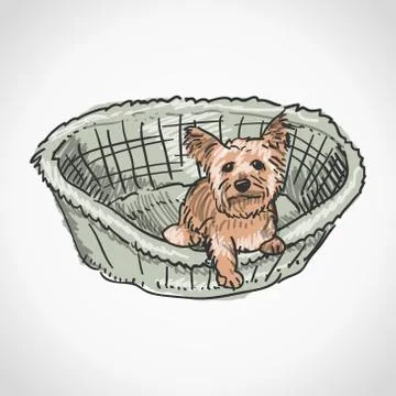 Yorkshire Terrier in Basket Stock Illustration