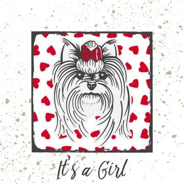 Yorkshire Terrier with a bow. Stock Illustration