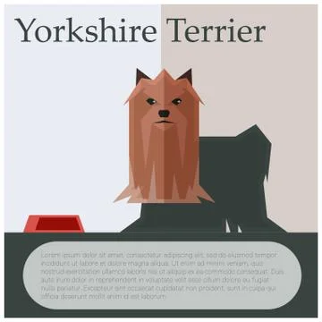 Yorkshire terrier colourful postcard Stock Illustration