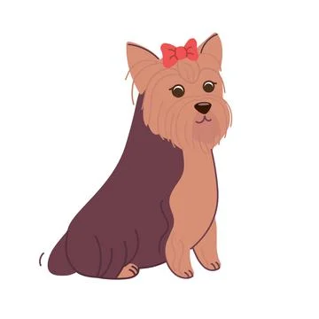 Yorkshire terrier dog is sitting. Vector illustration in flat style isolated on Stock Illustration