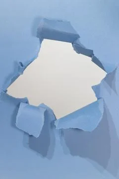 Yorkshire Terrier Peeks Through Torn Blue Paper With Curiosity and Playfulness Stock Photos