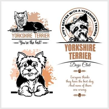 Yorkshire Terrier - vector set for t-shirt, logo and template badges on white Stock Illustration