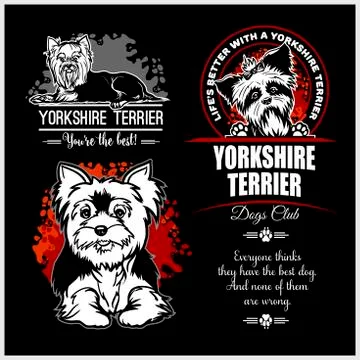 Yorkshire Terrier - vector set for t-shirt, logo and template badges Stock Illustration