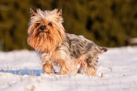 Yorkshire in winter Stock Photos