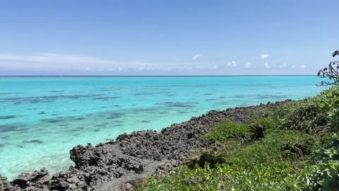 Yoron island 11 Stock Footage 339611440
