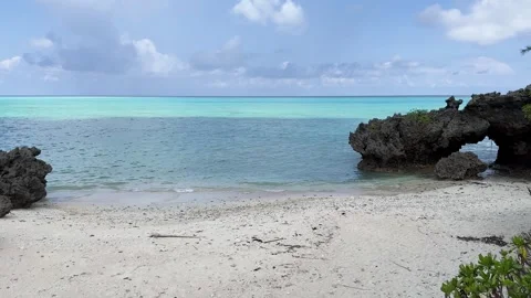 Yoron island 13 Stock Footage 339611941