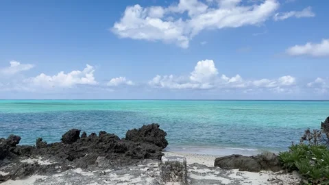 Yoron island 14 Stock Footage 339611954