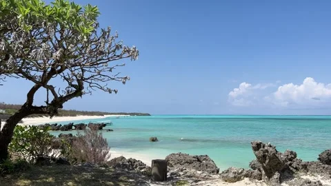 Yoron island 15 Stock Footage 339612111