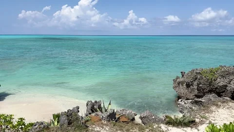 Yoron island 17 Stock Footage 339612508