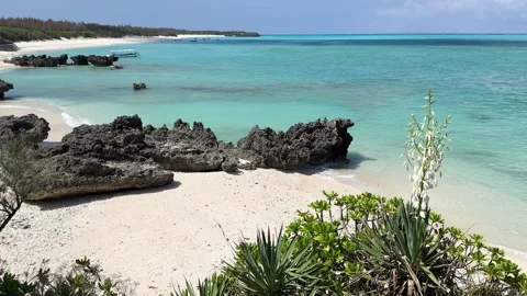 Yoron island 18 Stock Footage 339612577