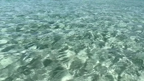 Yoron island 20 Stock Footage 339612474