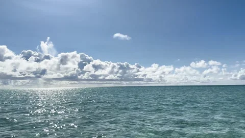 Yoron island 21 Stock Footage 339612755