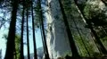 Yosemite 20 Driving El Capitan HD Footage