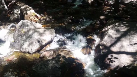 Yosemite Brook Stream Pan Up Video stock 91796674