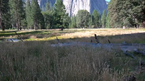 Yosemite Cliffs panning up Stock Footage 58067656