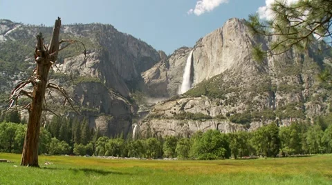 Yosemite Falls and Meadow Stock Footage