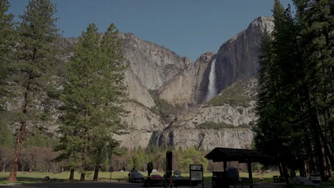 Yosemite Falls behind pine trees from valley parking area Stock-Footage 347987969