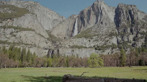 Yosemite Falls over spring meadow with fallen log Vídeos de archivo 347988086