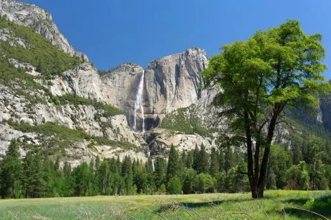 Yosemite Falls Stock Photos