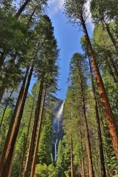 Yosemite Falls 스톡 사진