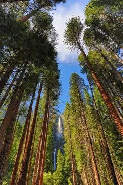 Yosemite Falls Stock Photos