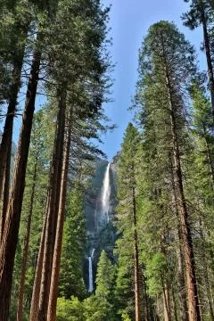 Yosemite Falls Stock Photos