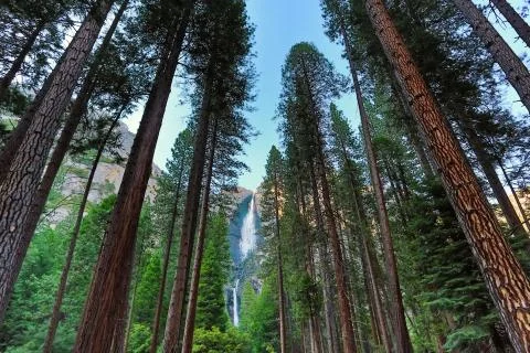 Yosemite Falls Stock Photos