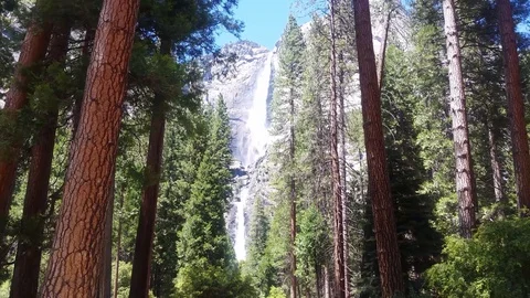 Yosemite Falls Upper and Lower through trees Video stock 91796709