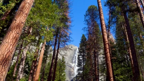 Yosemite Falls Waterfall at the End of the Path 스톡 동영상 87852576