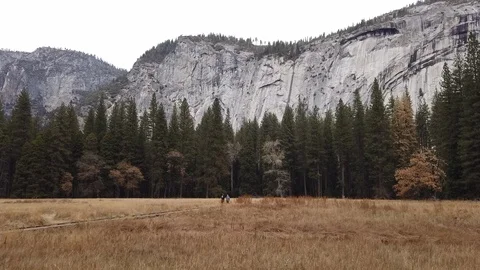 Yosemite - Half Dome  - Pan right Stock Footage 125227294