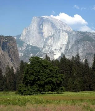 Yosemite Half Dome 스톡 사진