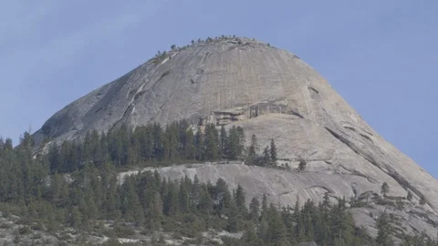 Yosemite Half Dome with Trees Stock Footage 122401292