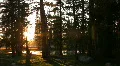 Yosemite HD08 Time Lapse Tuolumne Meadows Sunset x40 HD Footage