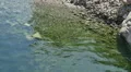 Yosemite Hetch Hetch Dam 96fps 06 Slow Motion shore HD Footage