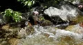 Yosemite LM105 Cascade Falls HD Footage